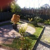 Photo 5: Rear garden