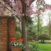 Photo 7: Front Garden