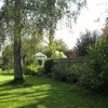 Photo 8: Back Garden