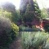 Photo 4: Garden