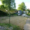 Photo 6: The back garden 