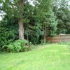 Photo 5: Garden
