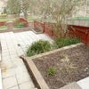 Photo 4: Sun terrace