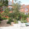 Photo 4: Garden and patio