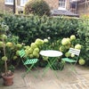 Photo 4: Garden