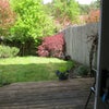 Photo 3: Door to garden