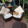 Photo 3: garden + cat