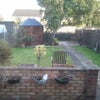 Photo 4: Garden from kitchen window