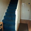 Photo 4: New flooring