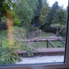 Photo 3: Garden View from Bedroom