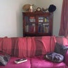Photo 2: Living Room