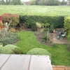 Photo 5: View from single bedroom window