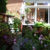 Photo 4: garden