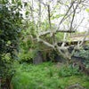 Photo 3: Garden, with decking to side of house