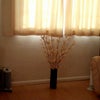 Photo 4: lounge w/ sofa