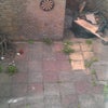 Photo 2: garden
