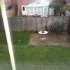 Photo 4: Garden view from double bedroom