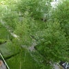 Photo 3: Flat overlooks communal garden, with water features