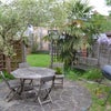 Photo 2: garden