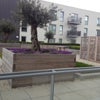 Photo 4: second balcony with garden