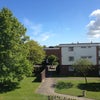 Photo 3: communal garden