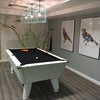 Photo 5: pool table
