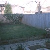 Photo 4: Garden