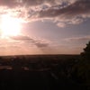 Photo 3: View from the roof/fire escape of the building.