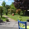 Photo 6: Garden