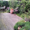 Photo 4: Garden