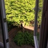 Photo 5: Garden