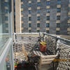 Photo 5: Balcony