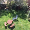 Photo 5: Garden