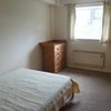 Photo 4: The Bedroom