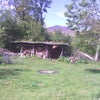 Photo 3: part of garden