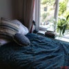 Photo 3: Bedroom