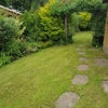 Photo 6: Rear garden