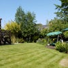 Photo 4: Summer Time!