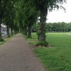 Photo 3: Next to the park