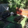 Photo 4: Garden