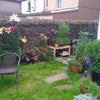 Photo 9: rear garden