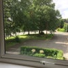 Photo 3: This is the view from the bedroom window