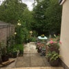 Photo 5: Back garden