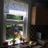 Photo 4: kitchen window