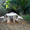 Photo 5: Garden