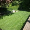 Photo 6: The lawn and decking