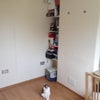 Photo 5: Reverse view of available room showing the built in shelving (and 1 of the cats)