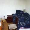 Photo 5: middle bedroom