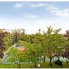 Photo 7: View from living room