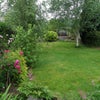 Photo 5: Garden with seating area